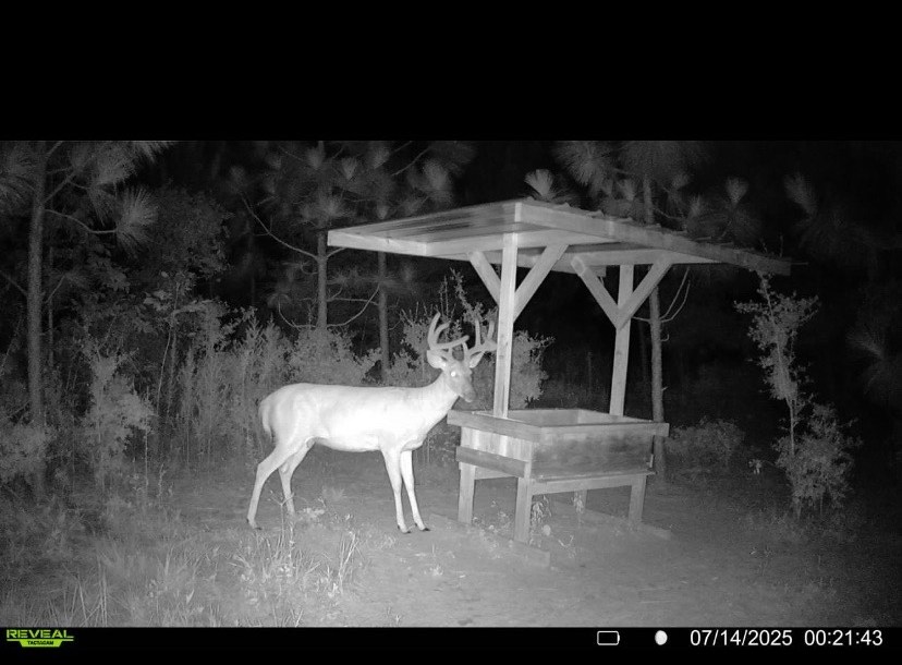 Hoxie Farm Photo